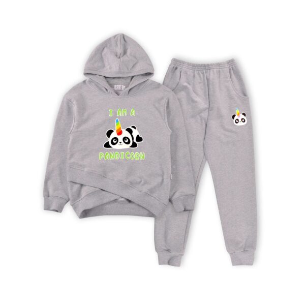 Hoodies sweatshirt customized long sleeve Boys Kids cartoon plain waterproof cotton 2-12 years - Image 3