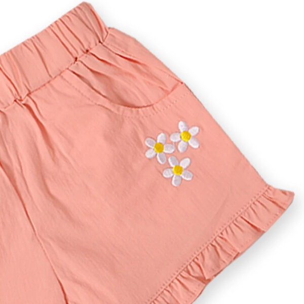 Baby Girl Clothes (6 pieces) - Image 6