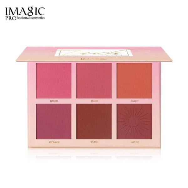 Face Pigment Blusher Powder Matte - Blush Palette (10 Units)