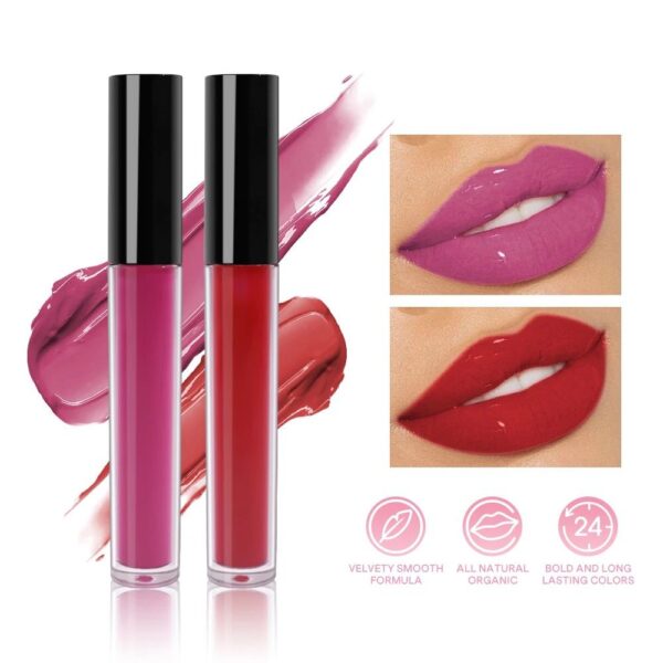 Waterproof Matte Gloss Liquid Lipstick (25 Units - Mixed Colors)